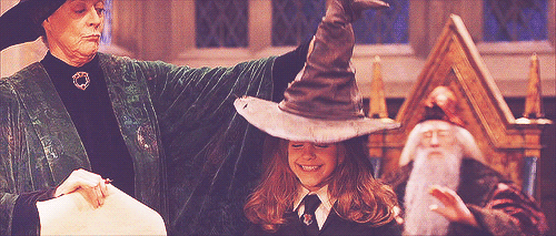 ¿En qué casa de Hogwarts me clasificarían? - Quizterra