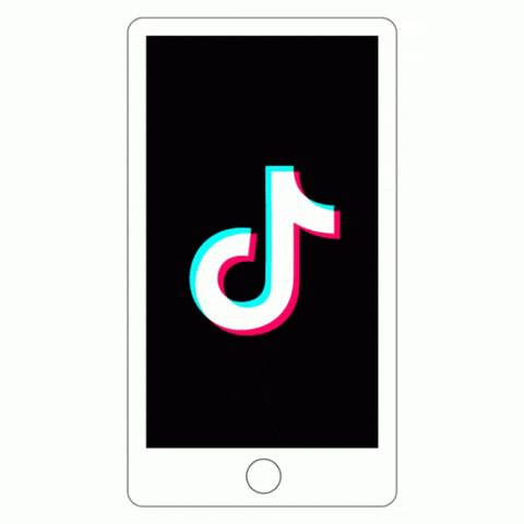 Do You Know TikTok Trends Well Enough to Pass This QUIZ?