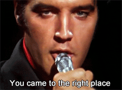 The King of Rock 'n' Roll Quiz: Can You Keep Up with Elvis?