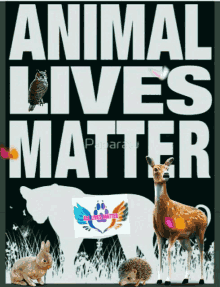Animal Advocates: A Quiz on The Animal Rights Movement