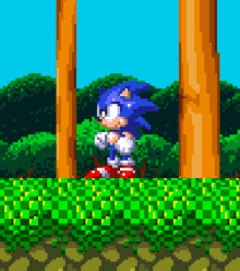 Get Ready to Speed through the Ultimate Sonic the Hedgehog Quiz and Prove Your Skills!