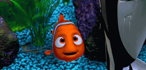 Can You Find Your Way Through This Epic Finding Nemo Quiz?	