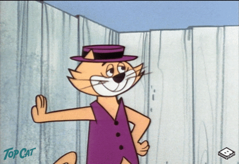 Are You a Top Cat Expert? Take This Quiz and Find Out!