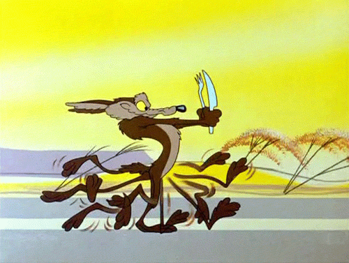 Are You Smarter Than Wile E. Coyote? Take This Quiz to Find Out!