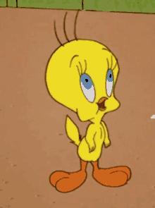 Are You a True Tweety Bird Fan? Take This Quiz to Find Out!	