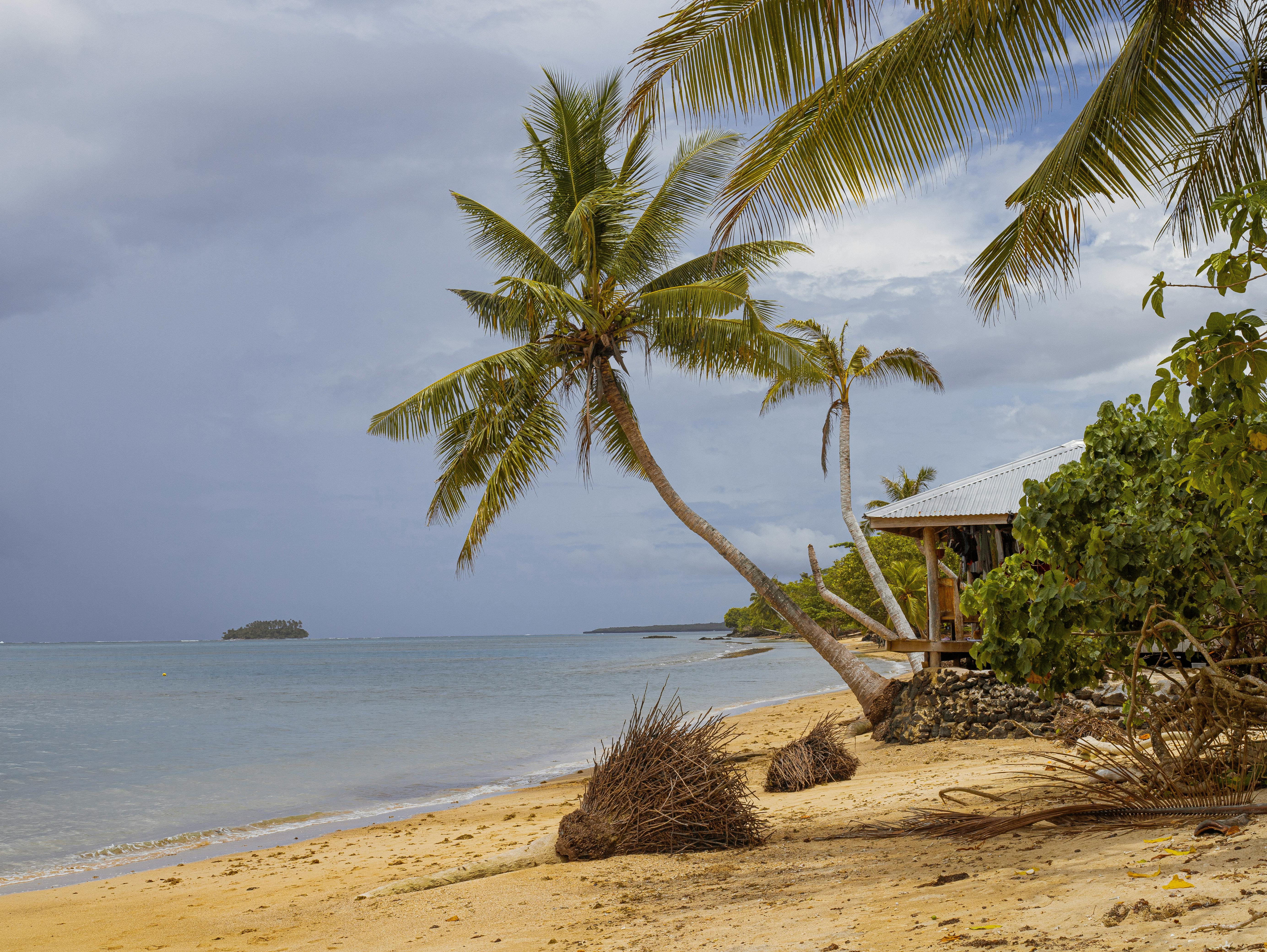 Samoa-tietovisa: Kuinka paljon tiedät tästä kauniista Tyynenmeren saaresta?