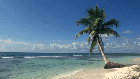 Kuis Guyana: Seberapa banyak yang kamu tahu tentang negara Amerika Selatan ini?