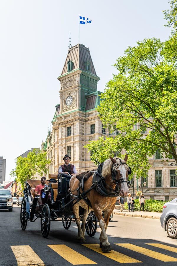 Kuis tentang Kota Quebec: seberapa banyak yang kamu tahu tentang ibu kota Kanada?