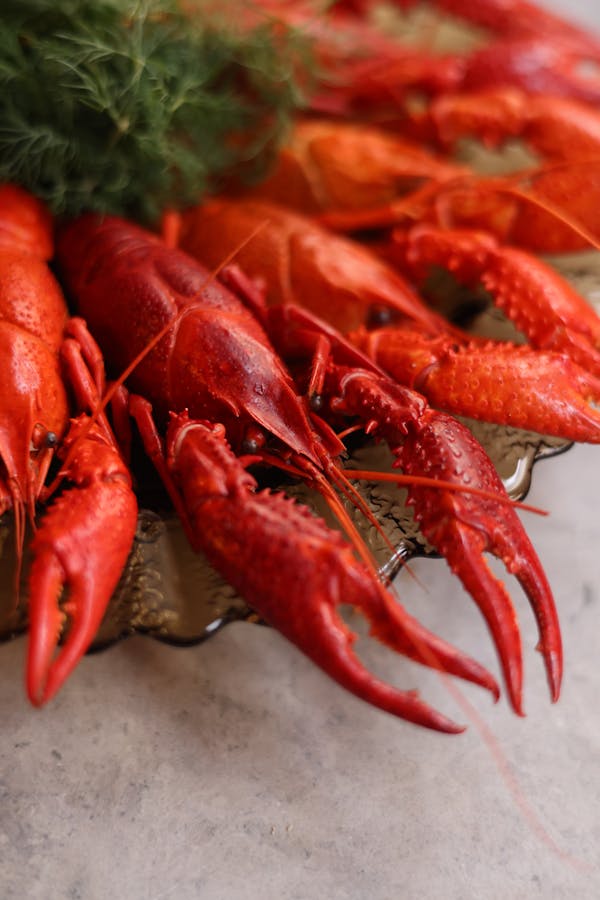 Kuis tentang Lobster: Seberapa banyak yang kamu tahu tentang krustasea ini?