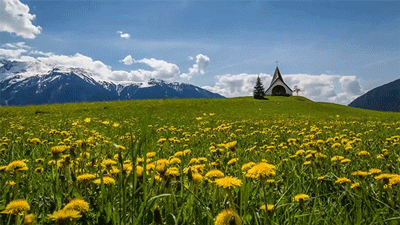 Kuis tentang Austria: Seberapa banyak yang kamu tahu tentang negara indah ini?