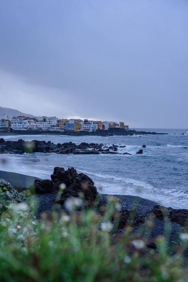 Тест о Тенерифе: сколько вы знаете об этом испанском острове?
