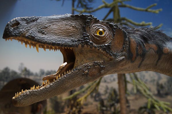 Викторина: "По следам динозавров"