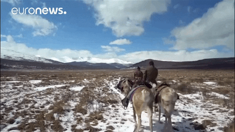 Quiz sobre Mongolia: ¿Cuánto sabes sobre este país asiático?