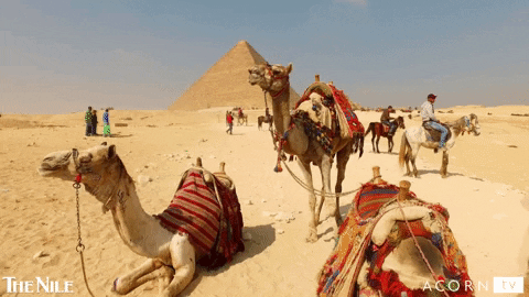 Quiz sobre El Cairo, Egipto: ¿Cuánto sabes de esta ciudad milenaria?