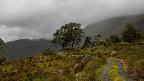 Quiz sobre Irlanda: ¿Cuánto sabes sobre este país celta?