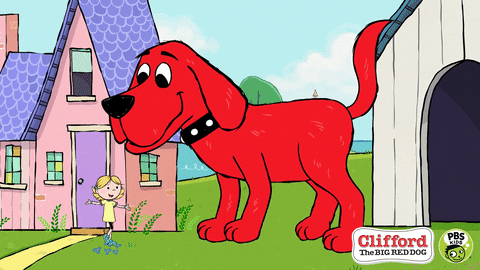 Can You Identify These Adorable Pound Puppies? Take Our Quiz Now!	