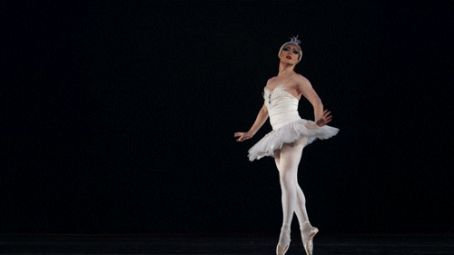 Only a True Ballerina Can ACE This Trivia Quiz