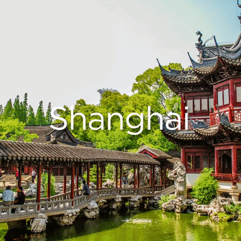 Discover the Best of Shanghai: Can You Get a Perfect Score on This Ultimate Quiz?	