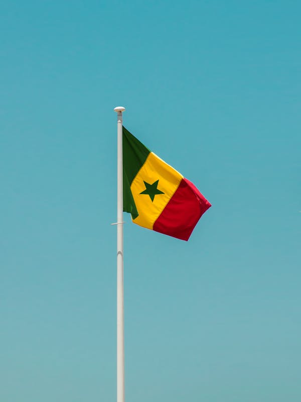 Senegal: Uncovering the Cultural and Natural Treasures of West Africa - A Trivia Quiz
