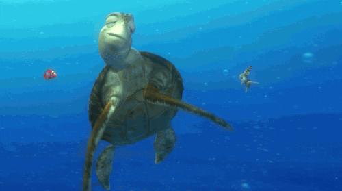 Are You a Sea Turtle Expert? Take This Quiz and Find Out