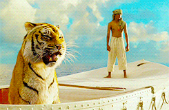Discover Your Inner Survivor: Take This Life of Pi Quiz Now!