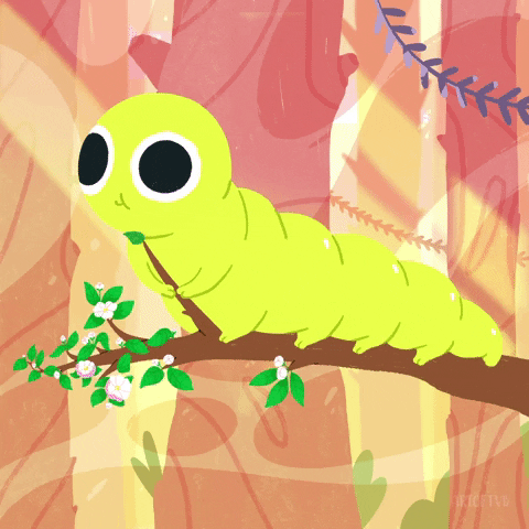 Can You Guess How Many Fruits The Very Hungry Caterpillar Ate? Take This Quiz To Find Out!