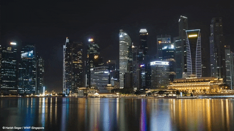 Quiz su Singapore: Quanto ne sai su questo piccolo paese?