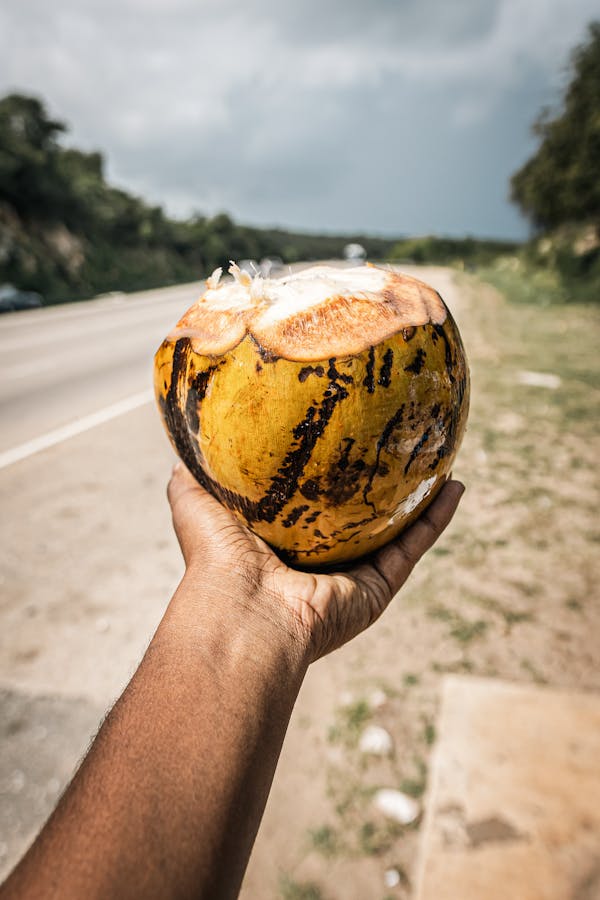 Jamaika Quiz'i: Bu Karayip Adası Hakkında Ne Kadar Bilgi Sahibisiniz?