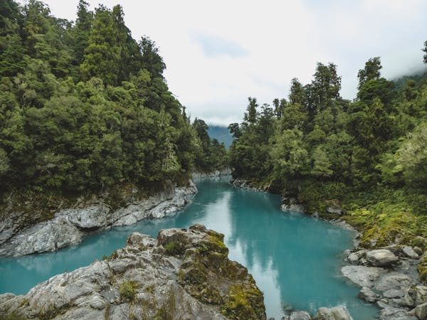 Yeni Zelanda Quiz'i: Bu güzel ülke hakkında ne kadar bilgi sahibisiniz?