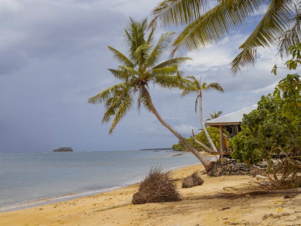 Samoa Quiz: Pasifik'teki bu güzel adayla ilgili ne kadar bilgi sahibisiniz?