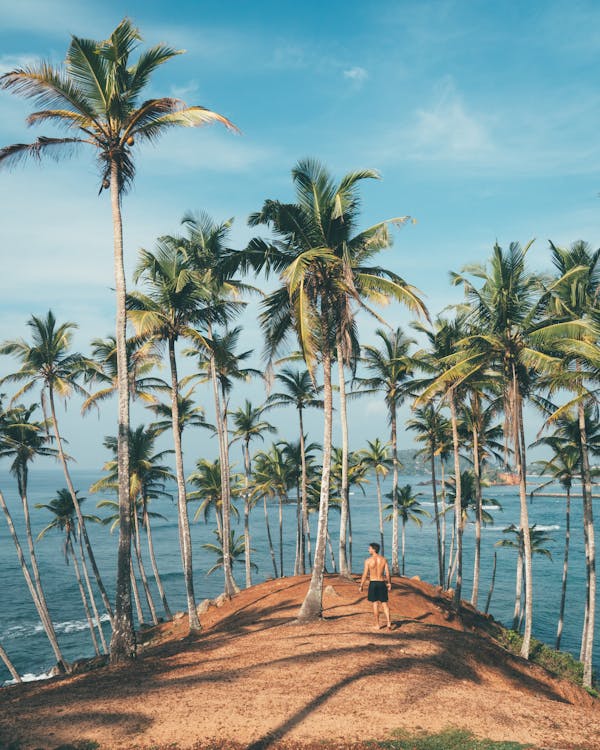 Sri Lanka Quiz: Bu güzel adayla ilgili ne kadar bilgi sahibisiniz?