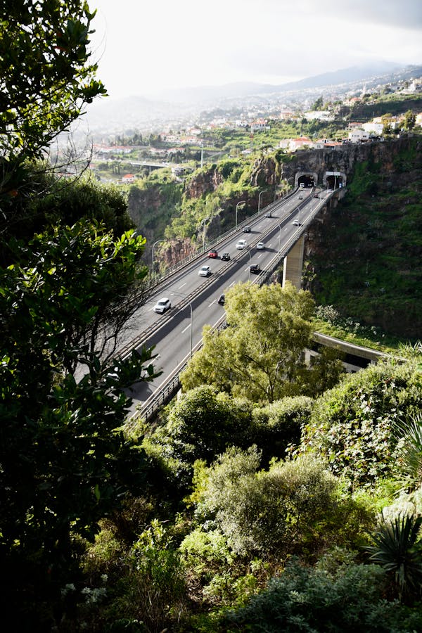 Funchal, Portekiz hakkında bir quiz: Bu güzel şehir hakkında ne kadar bilgi sahibisiniz?