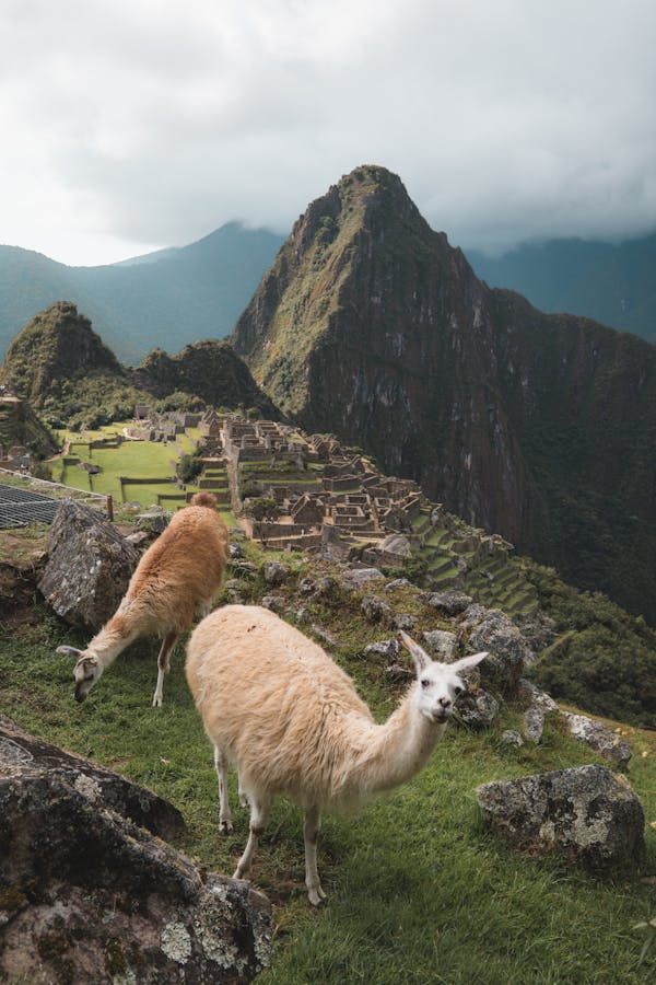 Quiz über Cusco, Peru: Wie viel wissen Sie über diese historische Stadt?