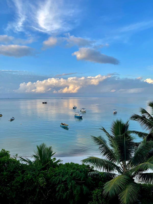 Quiz über die Seychellen: Wie viel wissen Sie über dieses tropische Paradies?