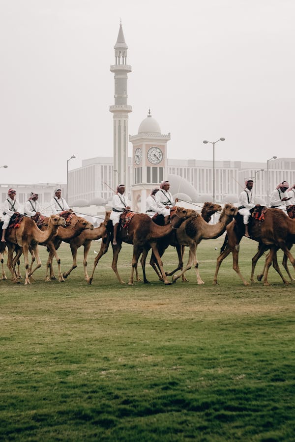 Quiz über Katar: Wie viel wissen Sie über dieses Land am Persischen Golf?