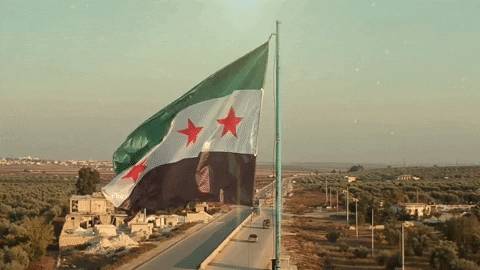 Syrien-Quiz: Wie viel wissen Sie über dieses Land im Konflikt?