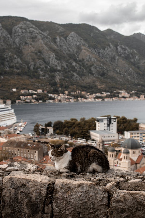 Kotor, Montenegro Quiz: Wie gut kennst du dieses Juwel an der Adria?