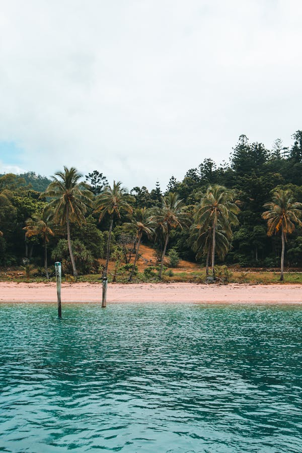 Quiz sobre as Ilhas Marshall: Quanto você sabe sobre este paraíso tropical?