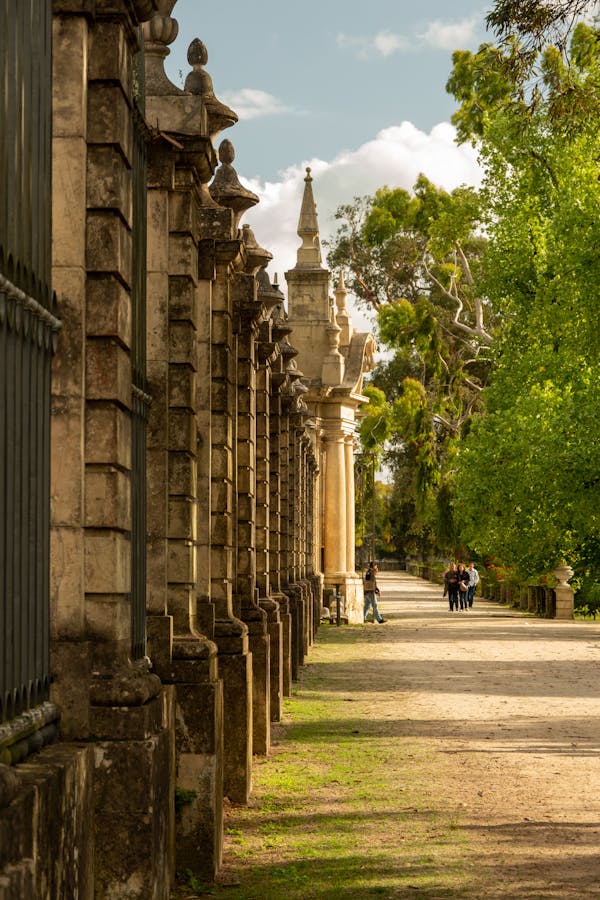 Quiz sobre Coimbra, Portugal: Quanto você sabe sobre esta cidade histórica?
