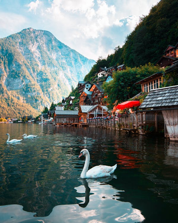 Quiz om Österrike: Hur mycket vet du om detta vackra land?