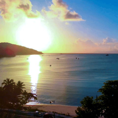 Quiz om Seychellerna: Hur mycket vet du om denna tropiska paradis?