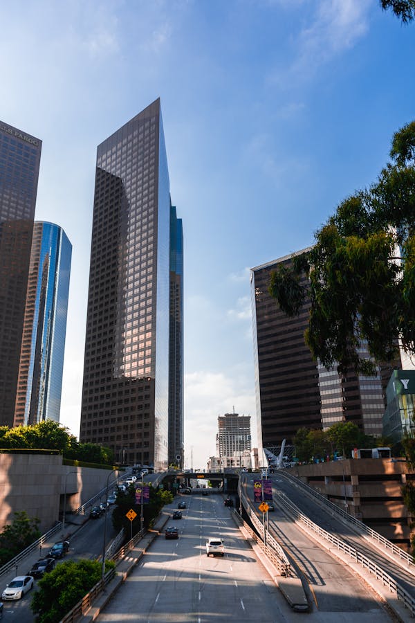 Quiz om Los Angeles: Hur mycket vet du om stjärnornas stad?