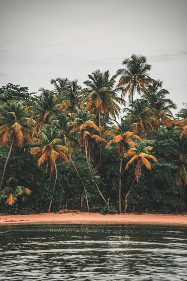 Quiz sur Trinidad et Tobago : Combien connaissez-vous de ces îles des Caraïbes ?