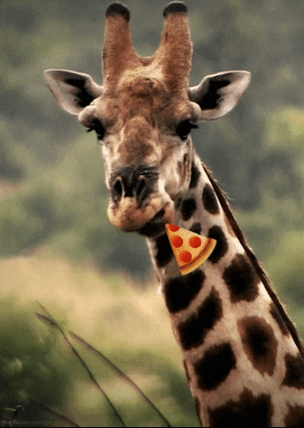 Quiz sur les Girafes: Combien en savez-vous sur ces animaux majestueux?